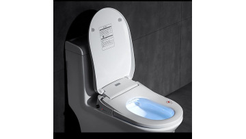 intelligent toilet seat