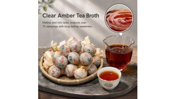 Bingdao Fermented Pu'er Dragon Balls Brewing Video