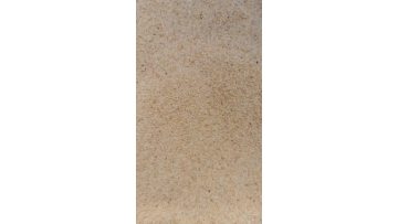 garlic 26-40 super white