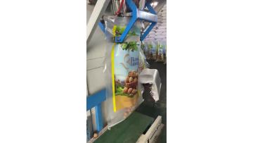 Packing of Yunnan Large Paper-shell Walnuts