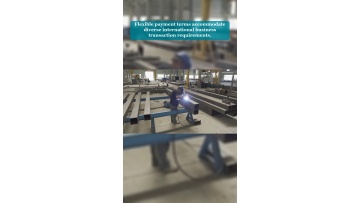 Video 17