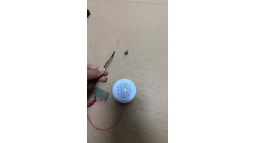 A little magnetic speaker