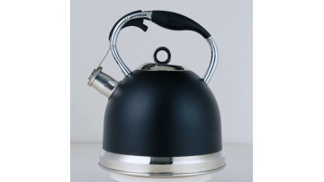 3.0L  Stainless steel BLack water kettle FH-531