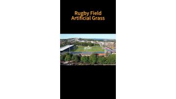 Rugby vedio(5)