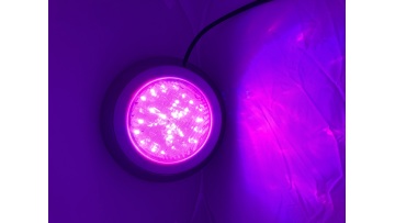 RGB pool light video