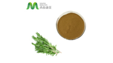 Dry Rosemary Grass Extract For Food Production Purpose1