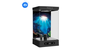 Black betta fish tank