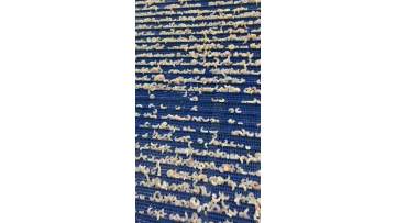 Zhoushan Haiwang Seafood Co.,Ltd