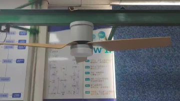 fan light colors