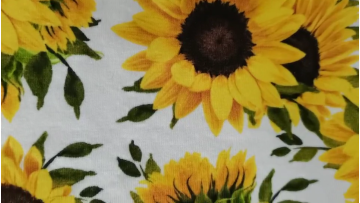 MUSA 2021 hot sale accept customization digital print 95 cotton 5 spandex  blend knit fabric  for garment1
