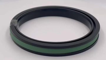 Piston Seals SPGW