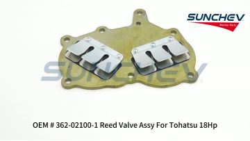 362-02100-1 Reed Valve Assy