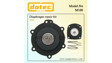 M100 Diaphragm Repair Kit