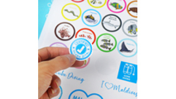 Book Manufacturer Custom Print Quality Saddle Stitching Children Log Book with Stickers Custom Sticker Books Printing1