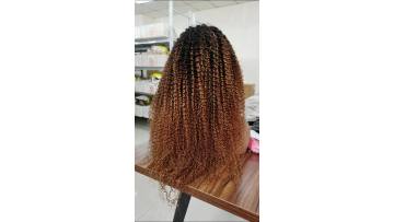 Best selling 13x4 13x6 hd lace wig raw burmese kinky curly wig glueless HD lace frontal wig human hair for black women1