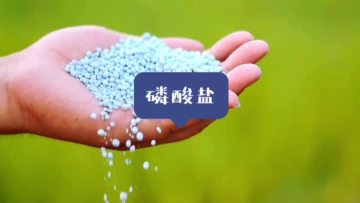 PHOSPHATE PRODUCTS
