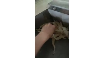 Fish glue coarse crusher 