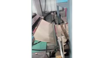 pulp molding Fruit and vegetable packing machine