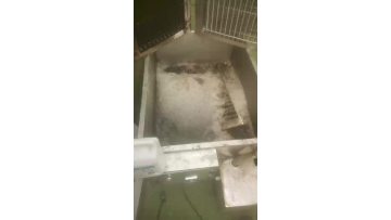 Electric field cleaning pool machine1