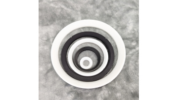PTFE Valve seat