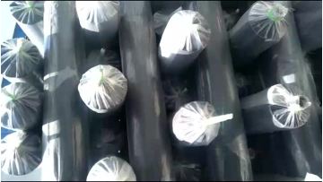 black silver mulch film