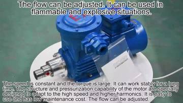 0.60cc Gear pump