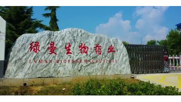 Company video