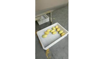 Mango Peeling And Pitting Machine