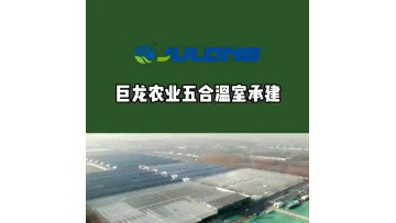 Low cost polycarbonate greenhouse multi-span greenhouse agricultural greenhouses factory price with hydroponic growing system1