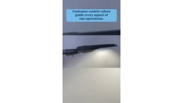 Video 31