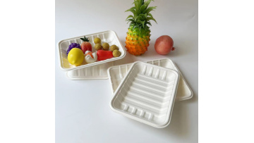 bagasse supermarket tray