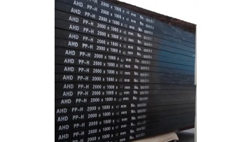 3mm 5mm 10mm 15mm 20mm 30mm 40mm 50mm 60mm 70mm 100mm Food Grade Plastic Polypropylene PP Sheet1