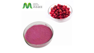 Blended Plant Herbal Extracts Bilberry Extract Powder Anthocyanidins1