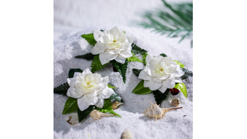 KN-hc020 gardenia hair claw