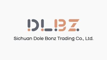 Company promotional video