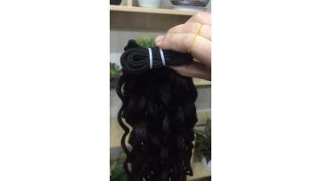Raw Indian Temple Hair Water Wave Hair Bundles Vendors Grade 12A Virgin Cuticle Aligned Hair From Indian1