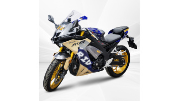 Factory Directly Sale High Power 250cc Gasoline Mo