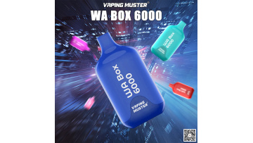 WA Box Vape 6000