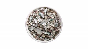 Abalone Shell