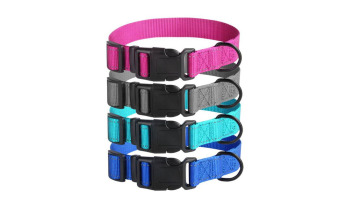 Custom Pattern Dog Collar