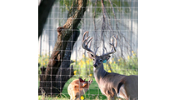 High Tensile Galvanized Animal Fence for Cattle, Horses, and Sheep1