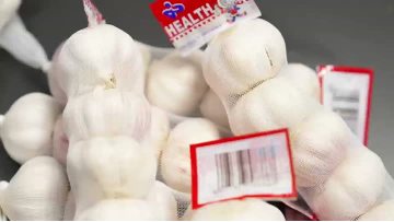 hight quality organic white purple dried garlic