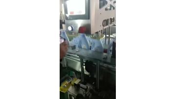 FXZ-4L Capping Machine for Laundry Bottles