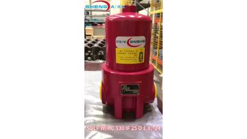 Low Pressure Filter SDLF WHC 330 IF 25 D 1.X-L24