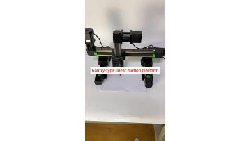 Gantry Linear Motion Platform