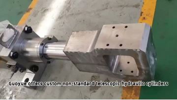 160 110-5500 Metallurgical hydraulic cylinder
