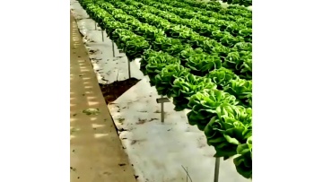 Agricultural Hydroponic Growing System PVC plastic Square  Hydroponic tube1