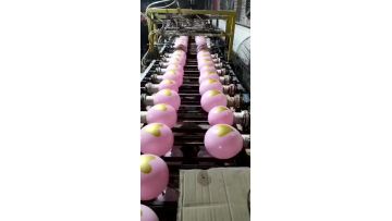 advertising assorted colors round shaped customized  logo printing latex balloon1