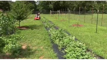weed control fabric