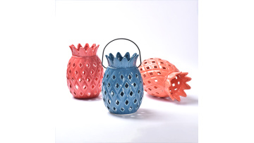 Pineapple hanging Flower Pot